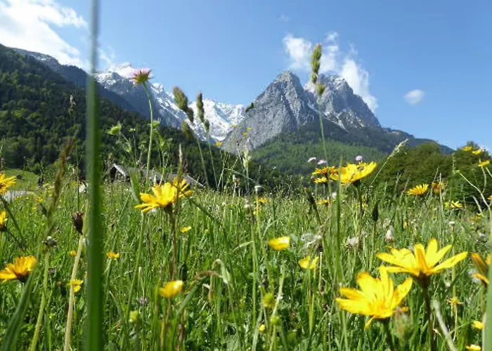 Kramerblick Apartment *